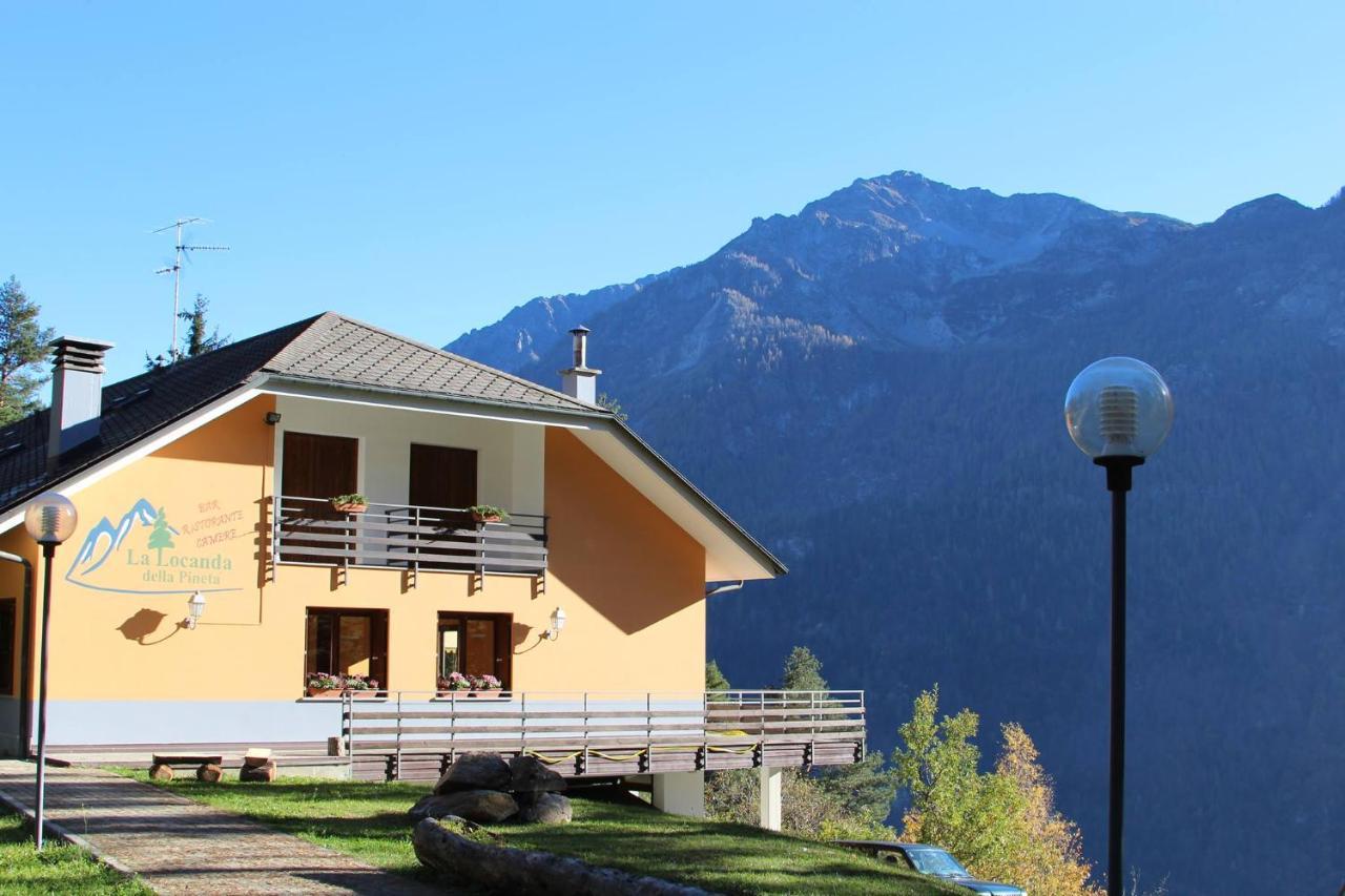 La Locanda Della Pineta Bertonio Exterior foto